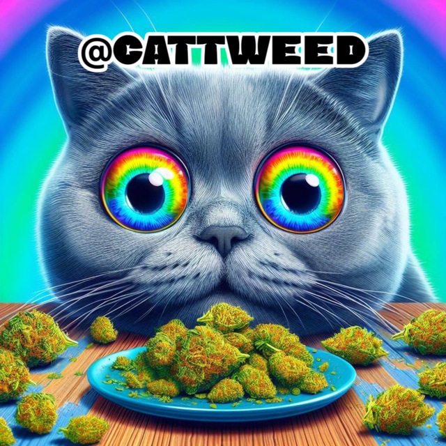 MAO Avatar
